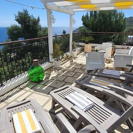 Casa Vacanze "Il Carrubo" 加利亚诺德尔卡波 外观 照片