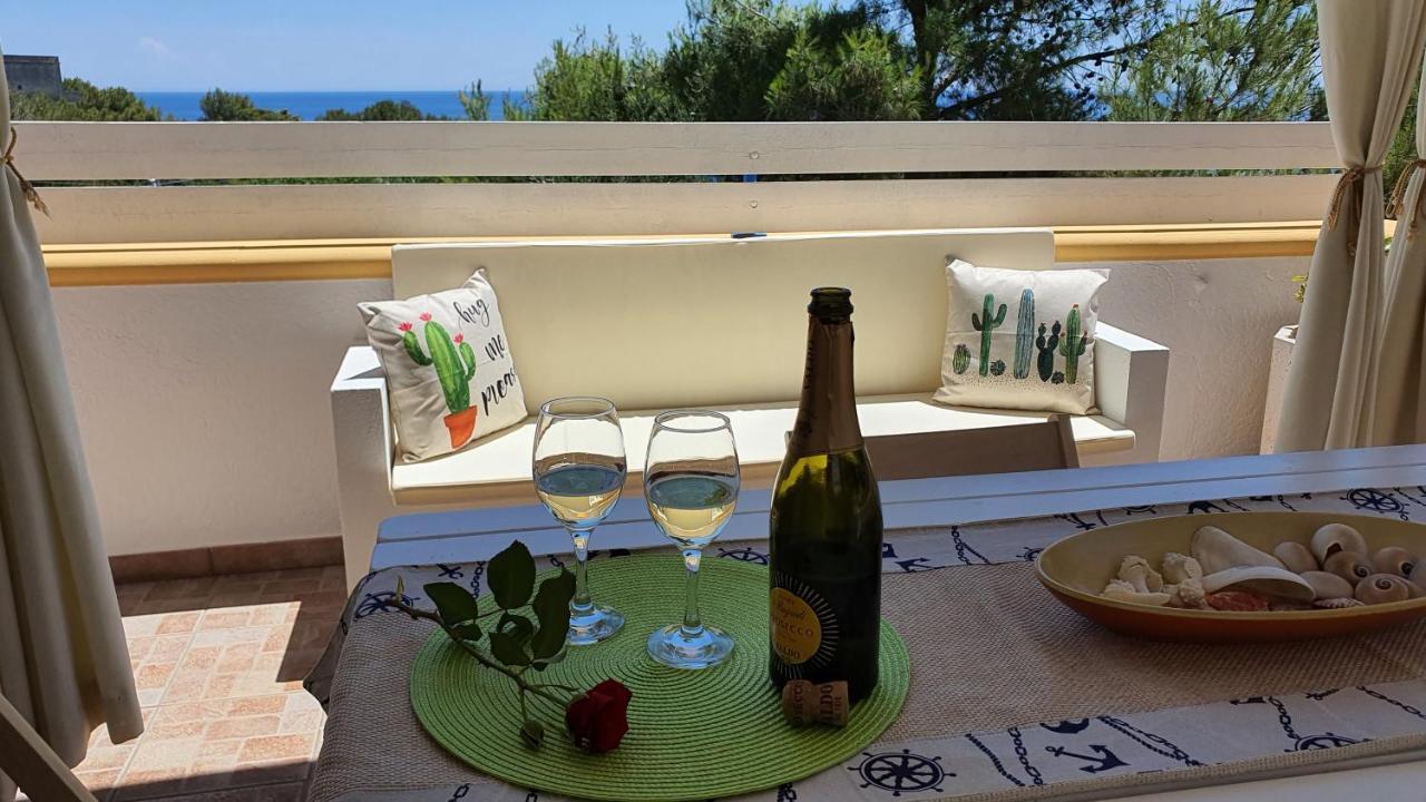 Casa Vacanze "Il Carrubo" 加利亚诺德尔卡波 外观 照片