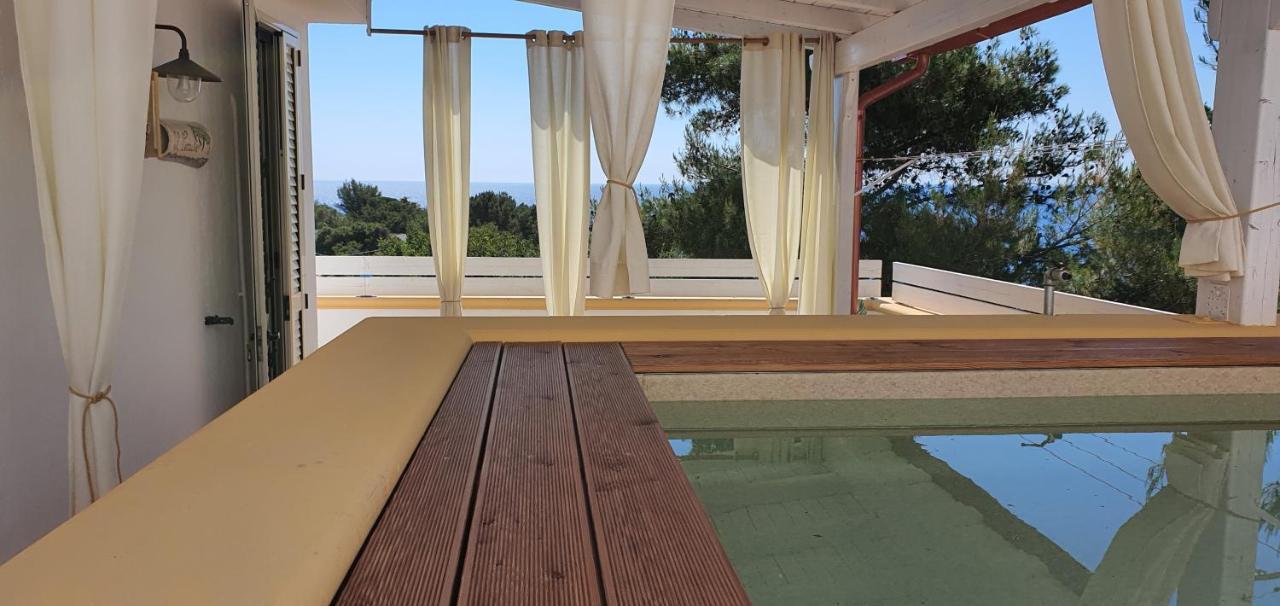 Casa Vacanze "Il Carrubo" 加利亚诺德尔卡波 外观 照片