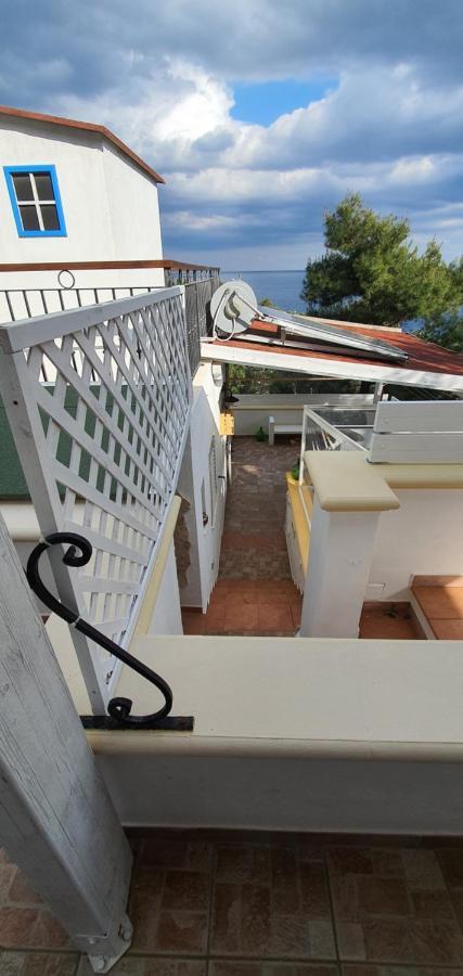 Casa Vacanze "Il Carrubo" 加利亚诺德尔卡波 外观 照片