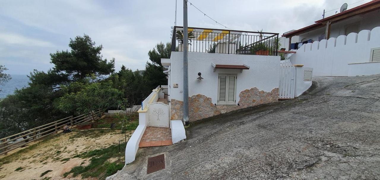 Casa Vacanze "Il Carrubo" 加利亚诺德尔卡波 外观 照片